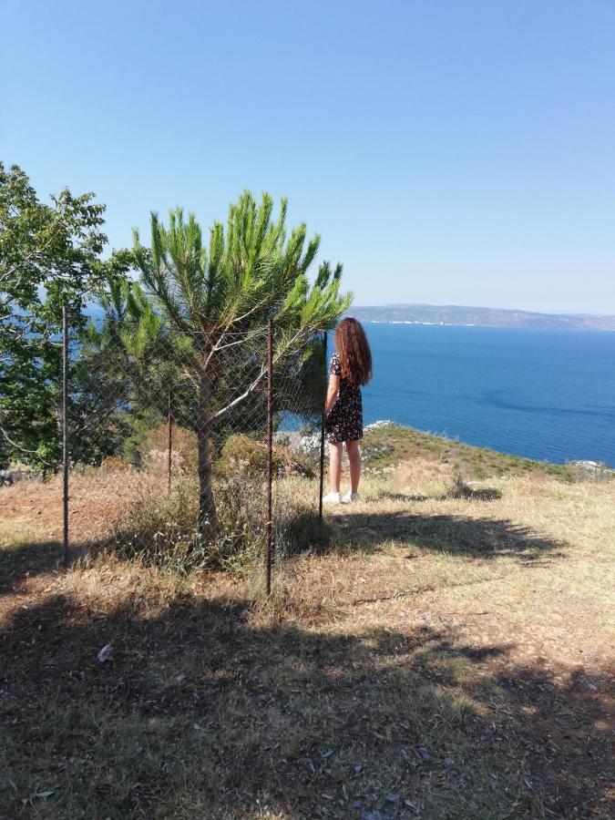 KourkouliNorth Evia Kiki'S House别墅 外观 照片